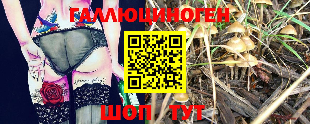 Галлюциногенные грибы Magic Shrooms  Вход с VPN  продажа наркотиков  Туймазы 