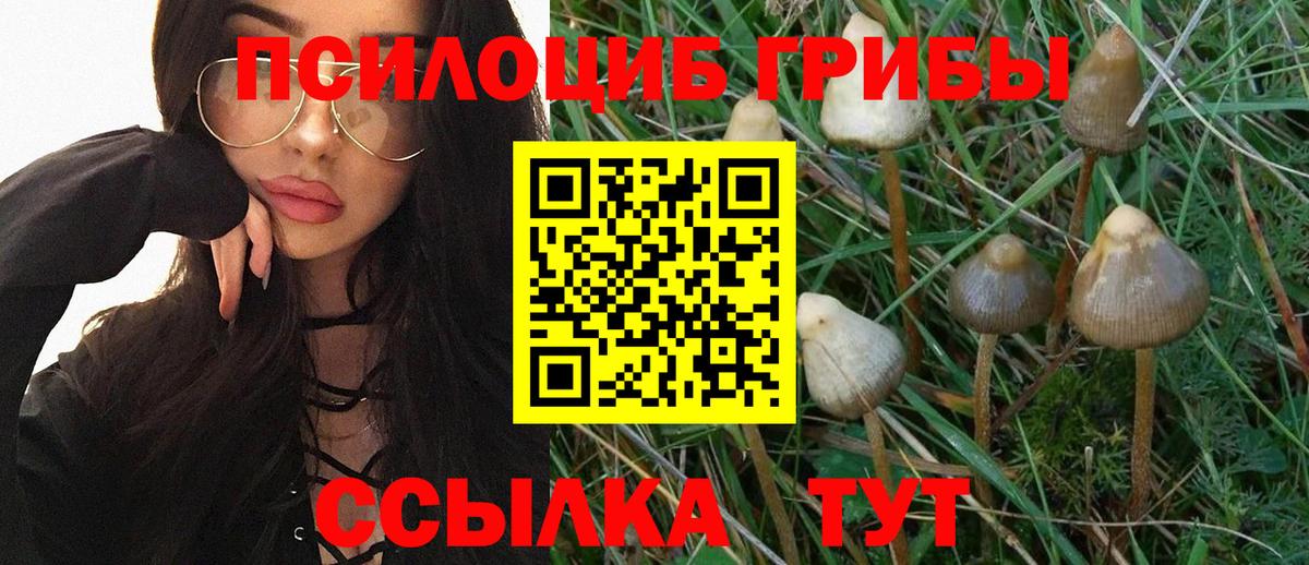 Галлюциногенные грибы Psilocybe Туймазы